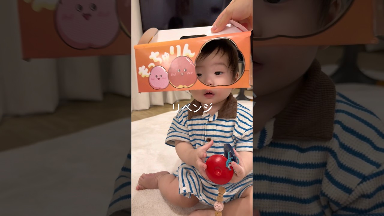 流行りのもっちゅりん顔はめやってみた結果www#10ヶ月赤ちゃん#もっちゅりん#もっちゅりん箱#顔はめ#ミスド#赤ちゃん