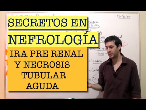 INSUFICIENCIA RENAL AGUDA PRE RENAL Y NECROSIS TUBULAR AGUDA