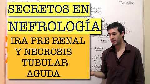 O que é IRA pré-renal?