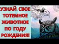 СЛАВЯНСКИЙ ГОРОСКОП ПО ГОДАМ! Кто ты по славянскому гороскопу? Тотемное животное по году рождения!