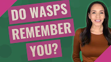 Can a wasp recognize you?