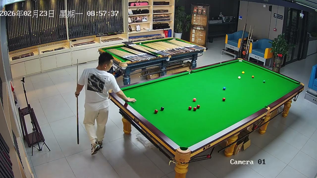 Player's Perspective: LP's 2026 Snooker Cue Performance!