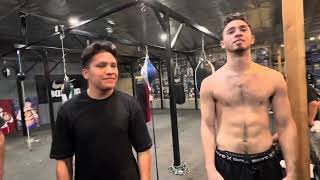 What professional boxers will do if they meet a real bear Seckbach reporting from RGBA