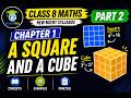 Class 8 Maths Chapter 1 | A Squares & a Cube | NCERT New Syllabus | Part 2