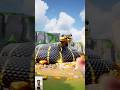 Lords Mobile Fighting with a Snake viralshort lordsmobile Lords Mobile Fighting with a Snake viralshort lordsmobile