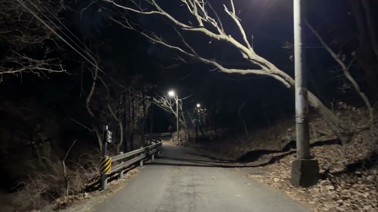 산책 맑고 맑을 아침 - 20260111 호암사 방향