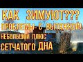 Полезная функция сетчатого дна. Проверка пчёл в омшанике. Небольшие проблемы с зимовником.