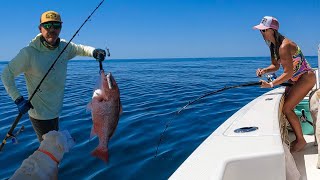 HUGE Snapper! BIG Grouper!  (Fishing with LIVE BAIT & Slow Pitch Jigging in the Gulf of Mexico)