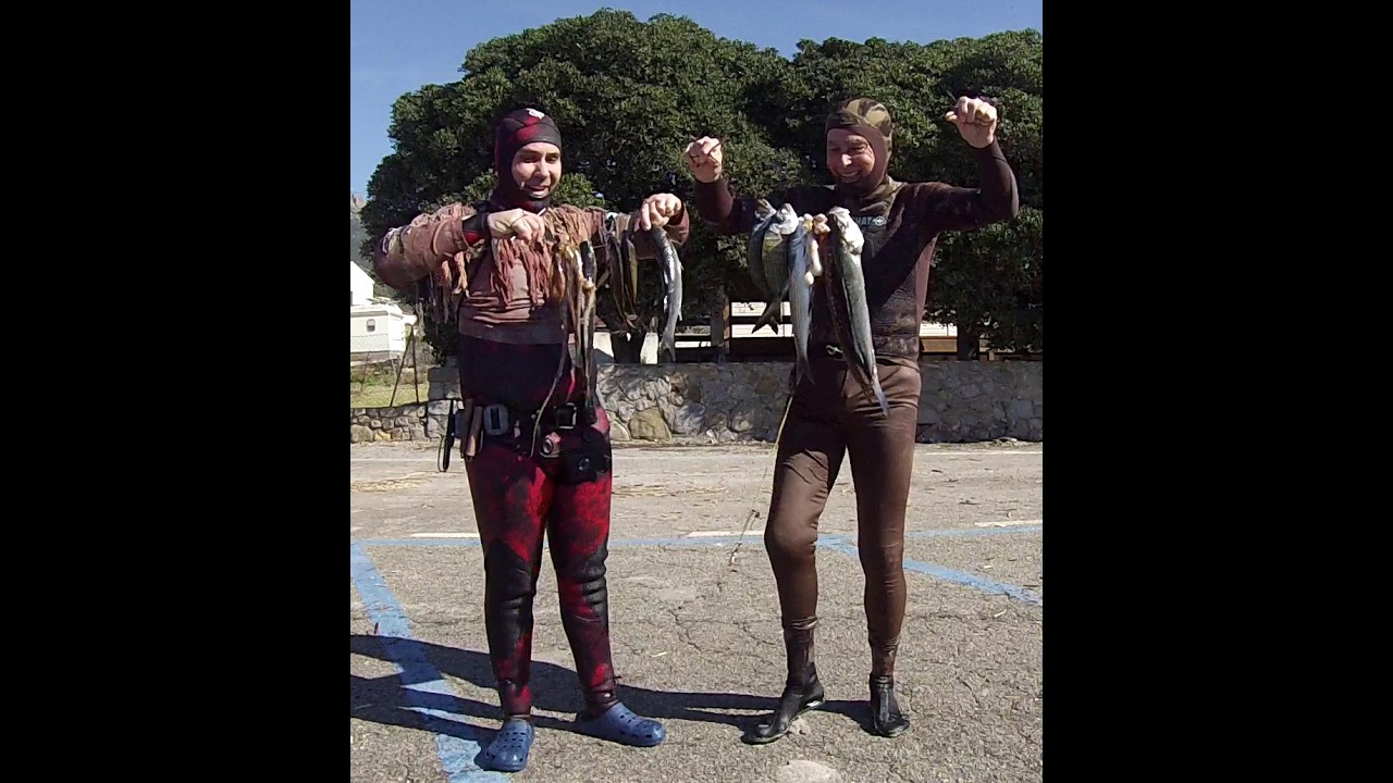 pesca sub zingarata elba con il lucertola , passione, divertimento, condivisione, follia e  pesce