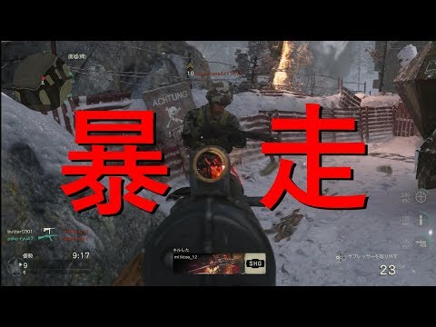 [ww2実況]ベータ版始動！！初心者が暴走した結果ｗｗ