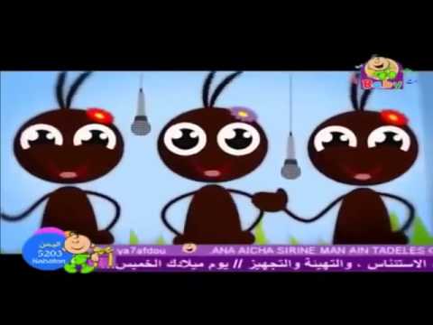 Toyor Al Janah Toyor Baby Namla Wa Sarsour طيور الجنة بيبي النملة و الصرصور بدون إيقاع 