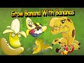 Use bananas to grow  banana pvz heroes