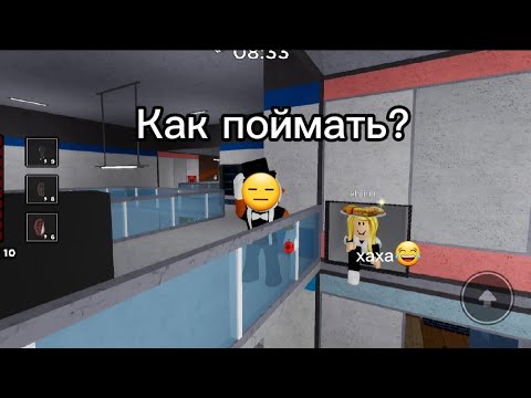 Как поймать "кемперов" в пигги каторие затягивают время?🤔/ ловушки в пигги каторие помагают🙀
