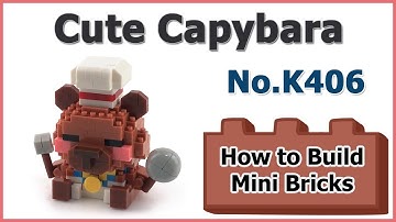 How to Build Mini Blocks Capybara K406 Review Instructions Specifications