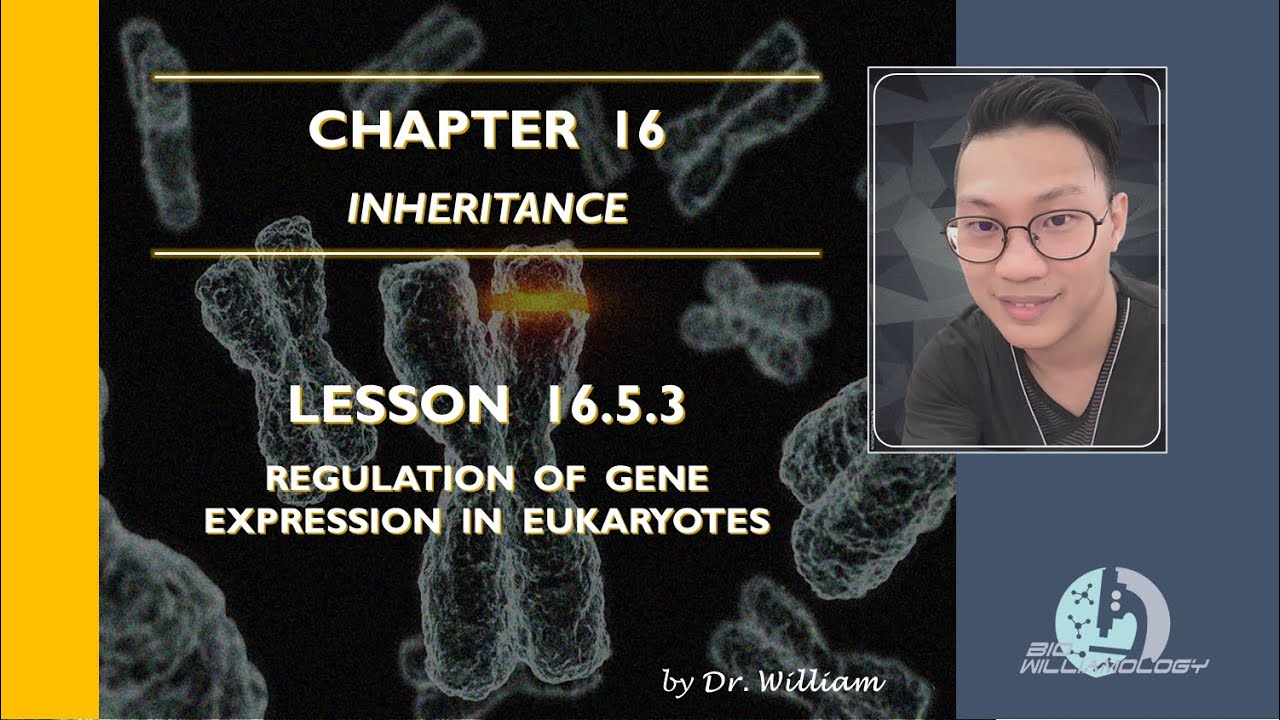 Lecture Series 16.5.3: Regulation of Gene Expression in Eukaryotes | Dr ...