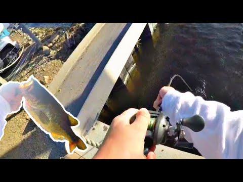 Fishing The Mississippi, Minnesota Angling - YouTube