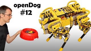 openDog Dog Robot #12 | First Steps | James Bruton