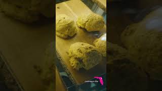 Florida Cruise Ports: JAXPORT Cruise Terminal | Jacksonville, FL screenshot 5