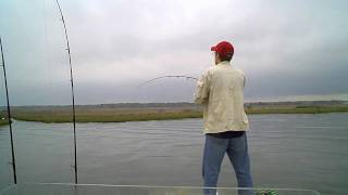 Shore Catch Guide Service - Peters Flats