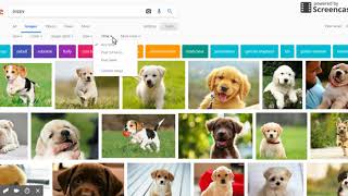 March 2018 - Google Image Search Tools