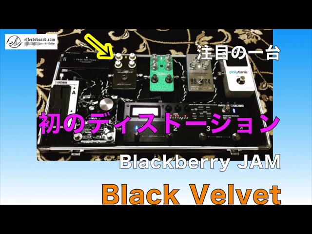 Blackberry JAM・初ディストーションに注目！【Vol.487エフェ