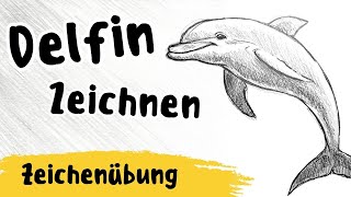 Delfin Zeichnen Für Anfänger - Von Skizze Zum Kunstwerk