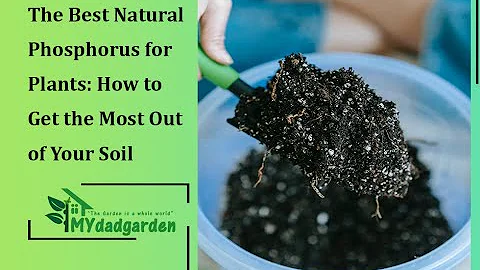 The Best Natural Phosphorus for Plants: How to Get the Most Out of Your Soil