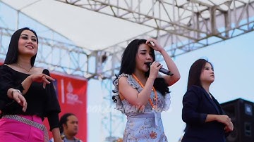OJOK DIPLEROKI All Artis New Monata  Latubaya 2022 @sodiqmusic @budhehanaudio3915