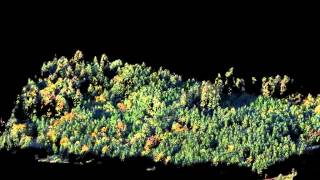 photogrammetric tree canopy point cloud video