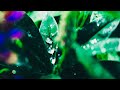 Nature 4K - Sony α7III