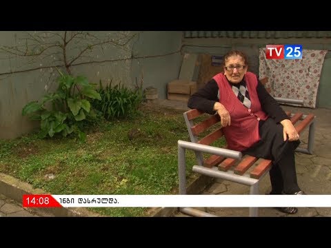 გამწვანების სამსახურის თანამშრომლებმა სკვერში ყვავილები დააზიანეს