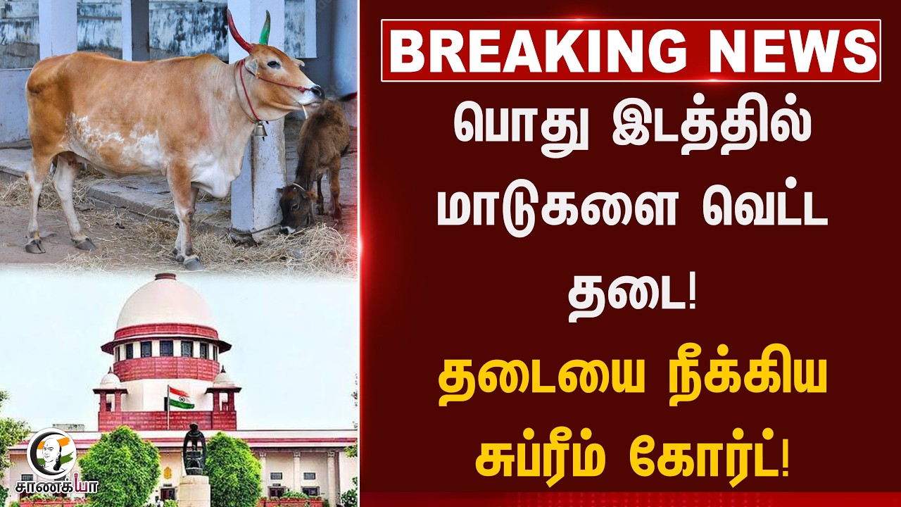 ⁣#breakingnews: பொது இடத்தில் மாடுகளை வெட்ட தடை! தடையை நீக்கிய சுப்ரீம் கோர்ட்!