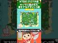 あつまれどうぶつの森 天才的な島のデザイン3選