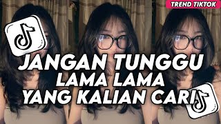 DJ JANGAN TUNGGU LAMA LAMA REMIX VIRAL FYP TIKTOK TERBARU 2025!