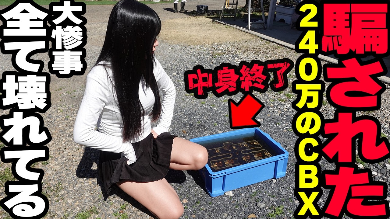CBXエラービート　アオシマ正規本物純正品一点物　製造エラー CBXエラービート アオシマ正規本物純正品一点物 製造エラー