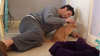 Cat is the perfect best friend  Cute And Funny Moments Cat And Human