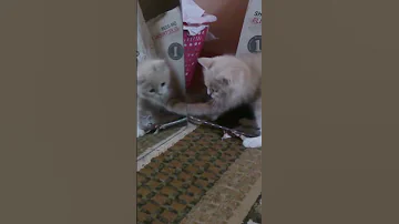 اوقات اشوف ملامحك ف صورتي ف المرايا 
