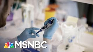 Study: Coronavirus Pandemic May Last Two Years Without Vaccine | The 11th Hour | MSNBC