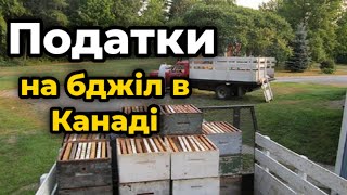 Бджільництво Канади від А до Я за 10 хвилин