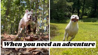 When you need an adventure