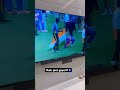 Hum jeet gaye 🙏🇮🇳🇮🇳🇮🇳🧿 #worldcup #india #shorts