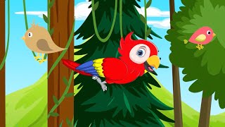 Papagei - Lichterkinder Cartoons - | Kinderlied | Tierlied