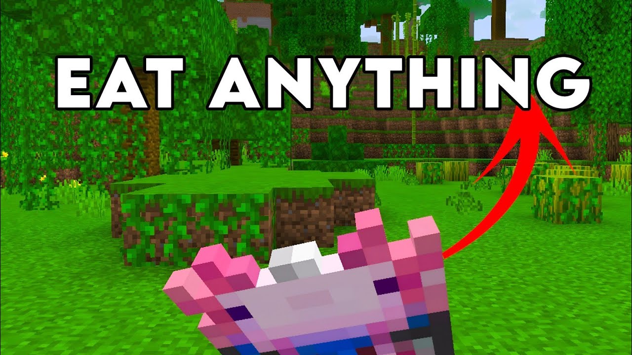 Eat Anything Mod for Minecraft Bedrock Edition // PE - YouTube