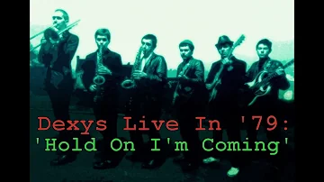 Dexys Live In '79: "Hold On I'm Coming"