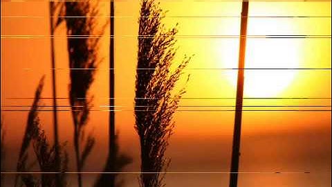 تلاوة خاشعة للشيخ سعد البريك