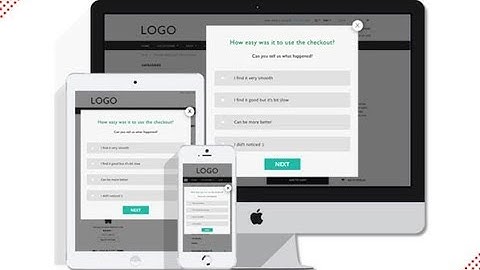 Feedify Rising Star Plan Lifetime Subscription