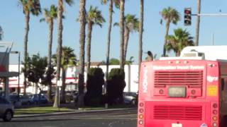 San Diego MTS Bus - New Flyer C40LF Route 704 #7202