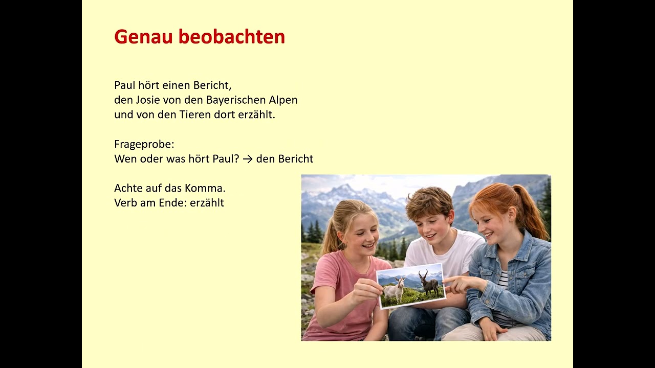 Relativsatz im Akkusativ einfach erklärt | Wen oder was? verstehen | Deutsch Klasse 6/7