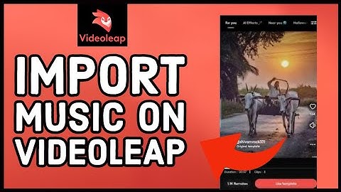 How to Import Music on Videoleap 2023?