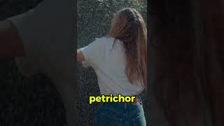 De onde vem o cheiro de chuva?